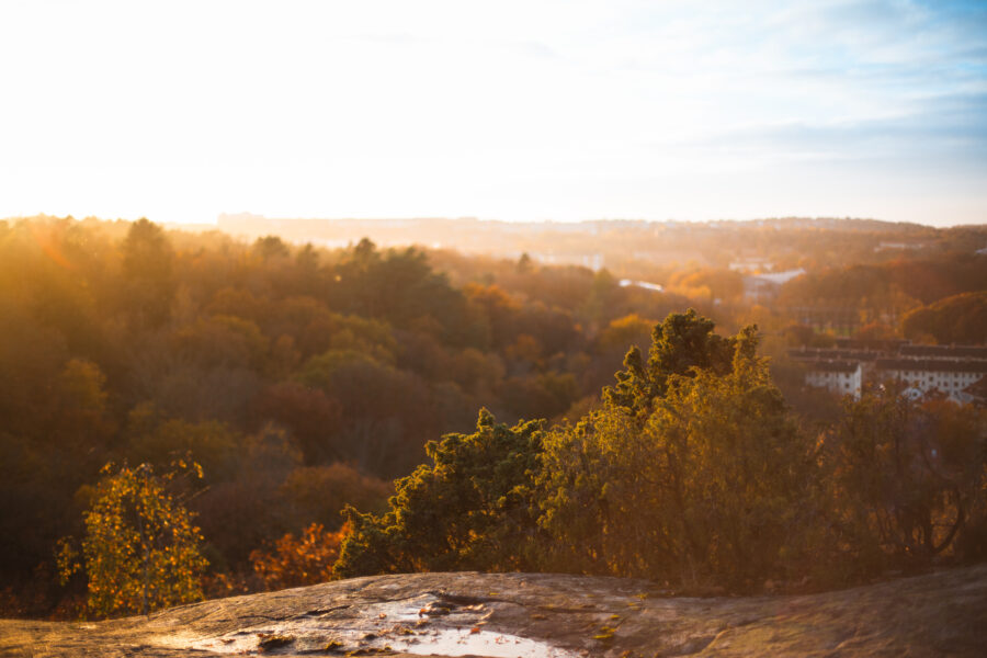 Saker att göra i Göteborg under höst och vinter